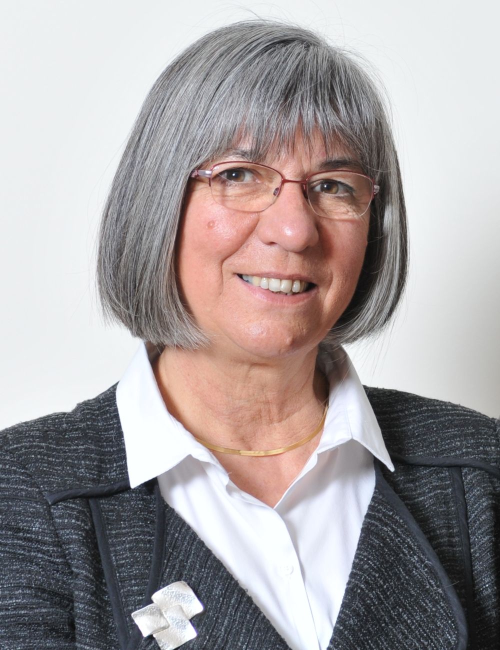Catherine PICARD - Le site du PS de Malakoff (92)